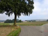  Wanderroute nach Weng 